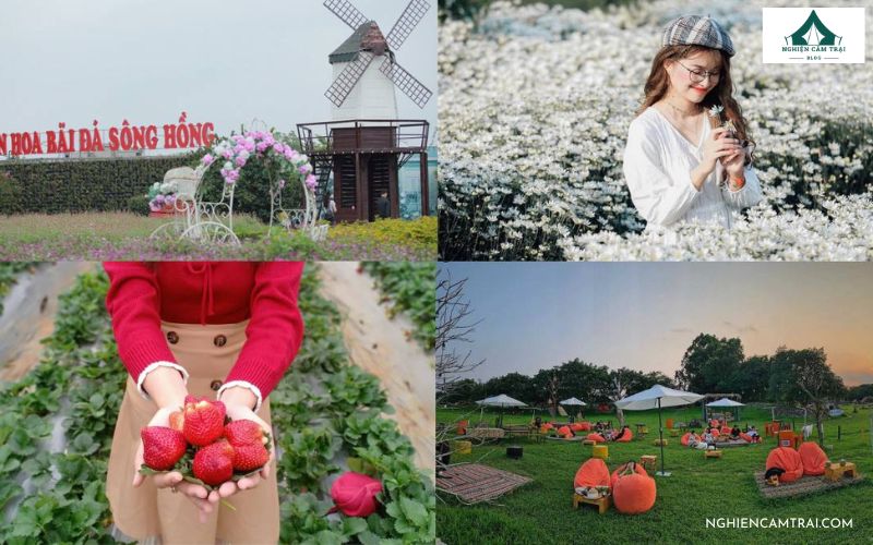 Kinh nghiệm chụp ảnh khi cắm trại ở bãi đá sông Hồng cực đẹp 18 Những góc chụp ảnh khi cắm trại ở bãi đá Sông Hồng