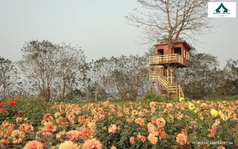 Kinh nghiệm chụp ảnh khi cắm trại ở bãi đá sông Hồng cực đẹp 14 Nên đi bãi đá sông Hồng lúc nào?