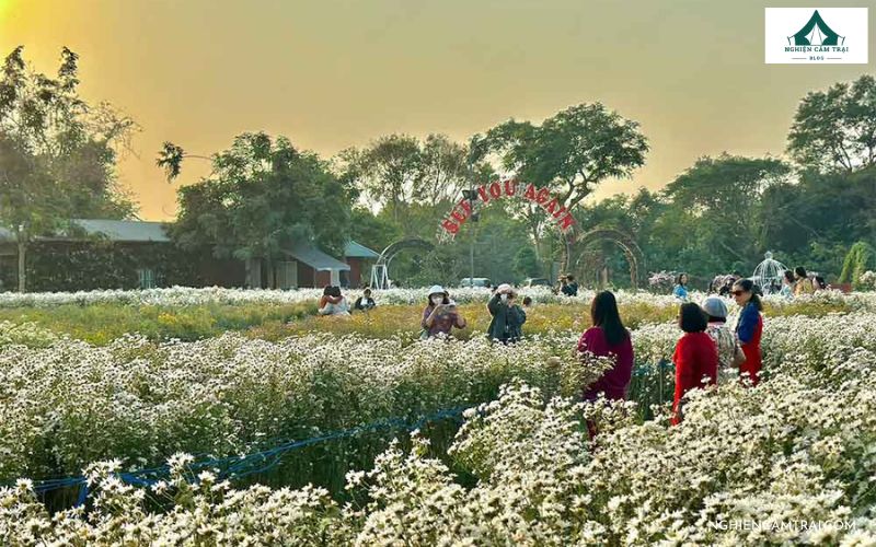 Kinh nghiệm chụp ảnh khi cắm trại ở bãi đá sông Hồng cực đẹp 13 Các chuyến đến địa điểm chụp ảnh bãi đá Sông Hồng
