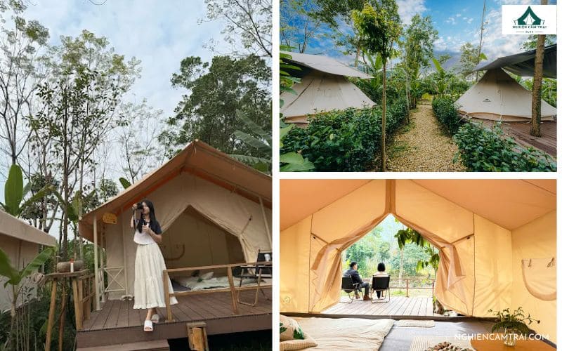 Cool Valley Glamping: Khu cắm trại bên suối cực chill, mới toanh 11 Cắm trại và nghỉ dưỡng giữa đồi chè