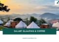 Review Dalart Glamping & Coffee  cực chill giữa núi rừng Đà Lạt 23 Review Dalart Glamping & Coffee cực chill giữa núi rừng Đà Lạt
