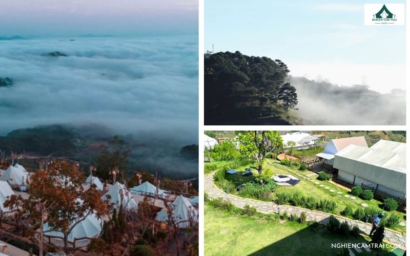 Review Dalart Glamping & Coffee  cực chill giữa núi rừng Đà Lạt 15 Dalart Glamping & Coffee