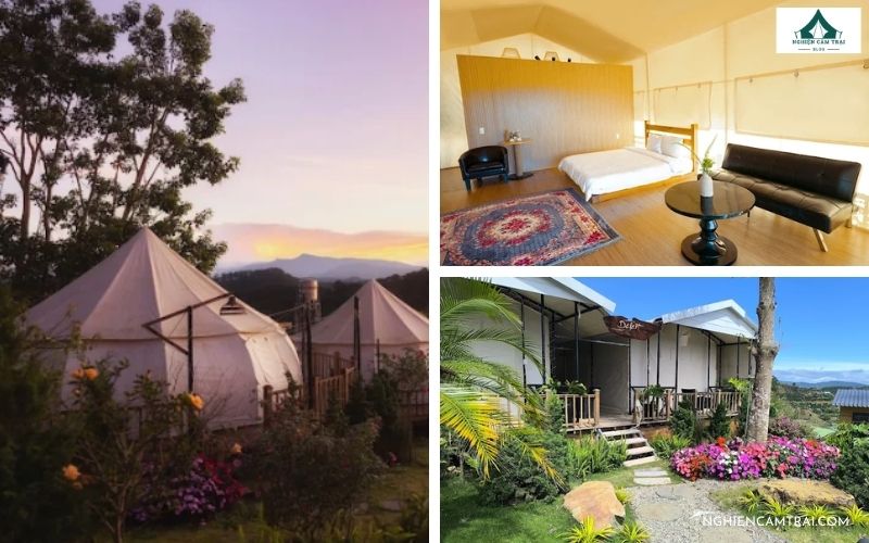Review Dalart Glamping & Coffee  cực chill giữa núi rừng Đà Lạt 16 Dalart Glamping & Coffee