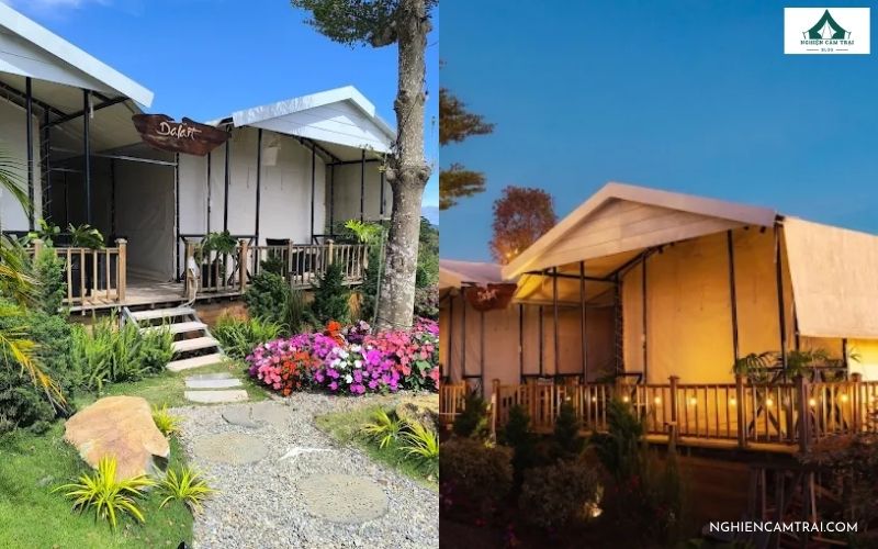Review Dalart Glamping & Coffee  cực chill giữa núi rừng Đà Lạt 17 Dalart Glamping & Coffee