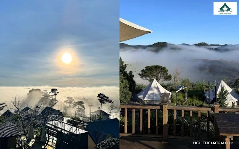 Review Dalart Glamping & Coffee  cực chill giữa núi rừng Đà Lạt 18 Dalart Glamping & Coffee