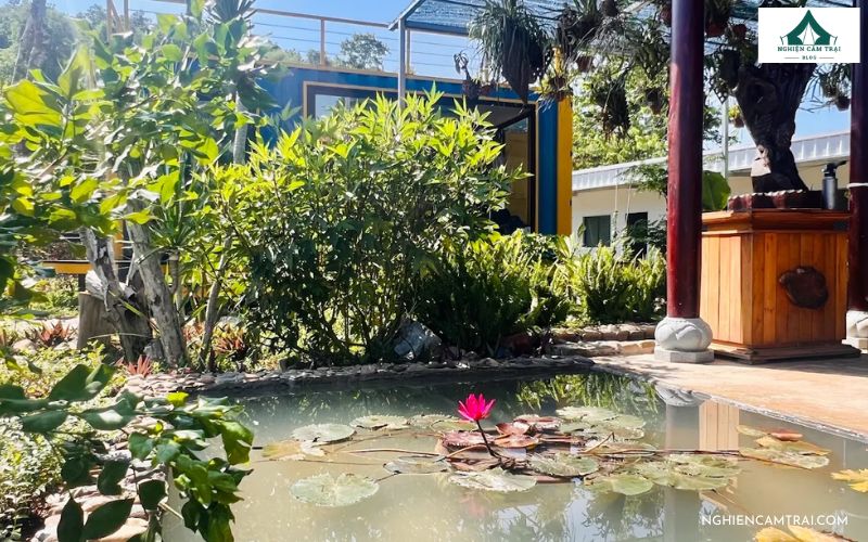 Review Gia Bắc Pass Glamping – Trải nghiệm camping sang chảnh  12 Những lưu ý khi đi Gia Bắc Pass Glamping