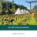 Review Gia Bắc Pass Glamping – Trải nghiệm camping sang chảnh  21 Review Gia Bắc Pass Glamping – Trải nghiệm cắm trại sang chảnh