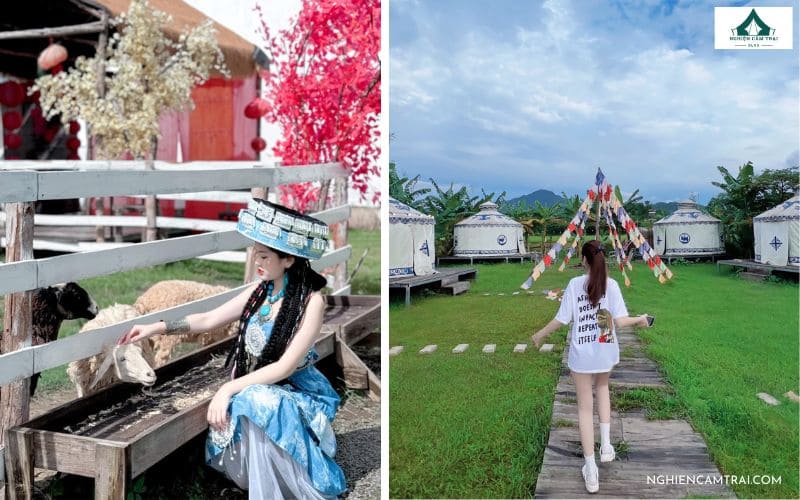 Hani Glamping Đà Nẵng – Khu cắm trại phong cách Mông Cổ siêu hot 20 Lưu ý khi cắm trại ở Hani Glamping Đà Nẵng