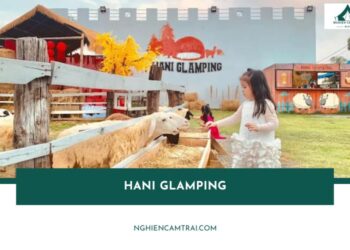 Hani Glamping Đà Nẵng – Khu cắm trại phong cách Mông Cổ siêu hot 16 Khám phá Hani Glamping – Cắm trại phong cách Mông Cổ độc đáo