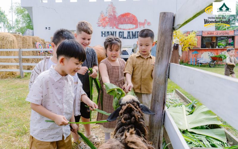 Hani Glamping Đà Nẵng – Khu cắm trại phong cách Mông Cổ siêu hot 15 Tham quan trang trại cừu và thỏ