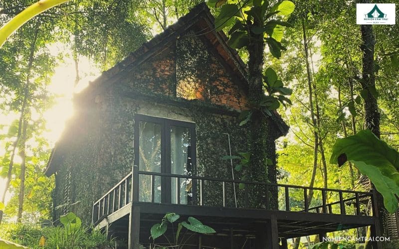 Làng Toom Sara Đà Nẵng - Điểm cắm trại thư giãn cuối cực chill 21 Nhà Chez Vous