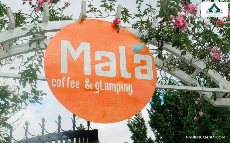 Review MaLá Coffee & Glamping – Lều xinh, view đồi, BBQ ngon 9 Thông tin tổng quan về MaLá Coffee & Glamping Đà Lạt