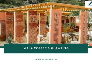 Review MaLá Coffee & Glamping – Lều xinh, view đồi, BBQ ngon 19 Review MaLá Coffee & Glamping – Lều xinh, view đồi, BBQ ngon