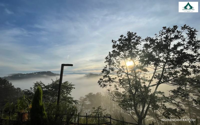 Review Mây Glamping Đà Lạt - Tận hưởng săn mây cực chill tại lều 13 Mây Glamping đà lạt