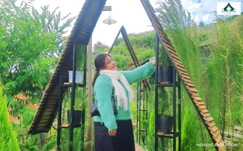 Review Mây Glamping Đà Lạt - Tận hưởng săn mây cực chill tại lều 14 Mây Glamping đà lạt