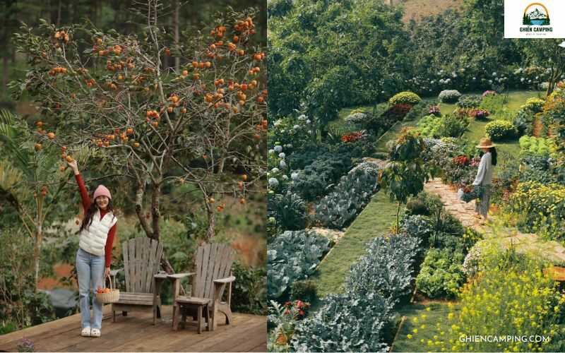 Review Nắng Thủy Tinh Đà Lạt: Điểm glamping & Cafe cực chill 17 Thỏa mái tạo dáng với background cực chill tại Nắng Thuỷ Tinh - Glamping Đà Lạt