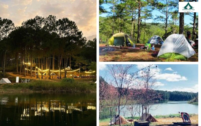 Pineforest Camping Đà Lạt – Khu glamping chill bên hồ 8 Pineforest camping đà lạt