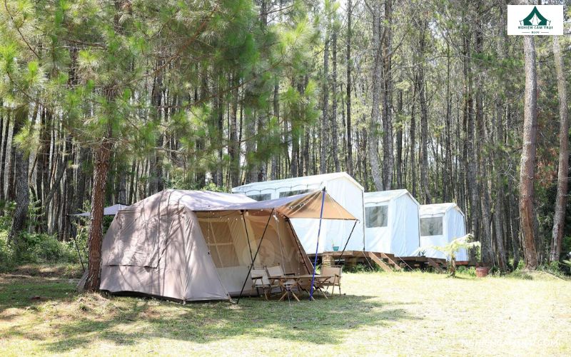 Pineforest Camping Đà Lạt – Khu glamping chill bên hồ 14 Pineforest camping đà lạt