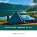 Pineforest Camping Đà Lạt – Khu glamping chill bên hồ 25 Pineforest Camping Đà Lạt – Khu glamping chill bên hồ
