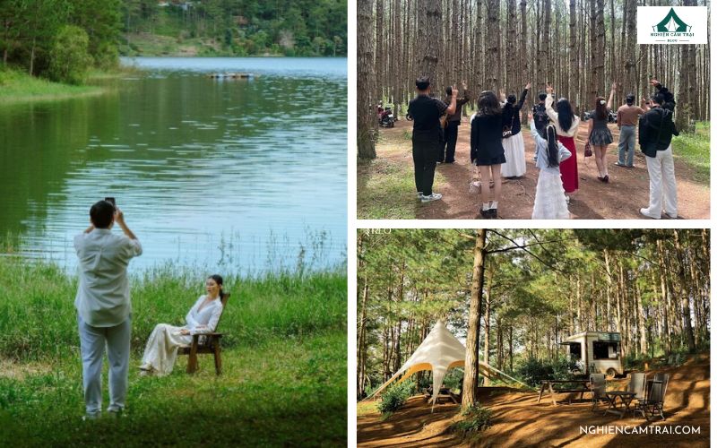 Reo Campsite Đà Lạt: Khu cắm trại chill bên suối Tía cực đẹp 11 Reo Campsite