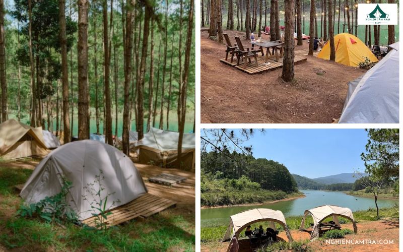 Reo Campsite Đà Lạt: Khu cắm trại chill bên suối Tía cực đẹp 12 Reo Campsite