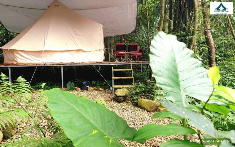 Suối Đá Trắng Glamping: Khu cắm trại sang chảnh bên bờ suối 11 Bảng giá dịch vụ tại Suối Đá Trắng Glamping Thái Nguyên