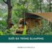 Suối Đá Trắng Glamping: Khu cắm trại sang chảnh bên bờ suối 19 Suối Đá Trắng Glamping: Khu cắm tSuối Đá Trắng Glamping: Khu cắm trại sang chảnh bên bờ suốiSuối Đá Trắng Glamping: Khu cắm trại sang chảnh bên bờ suốirại sang chảnh bên bờ suối