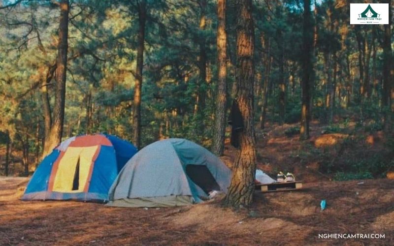 Top 3 địa chỉ thuê lều cắm trại Sóc Sơn uy tín, giá phải chăng 7 Đồng Đò Chill - Điểm cho thuê lều cắm trại ở Sóc Sơn nổi tiếng