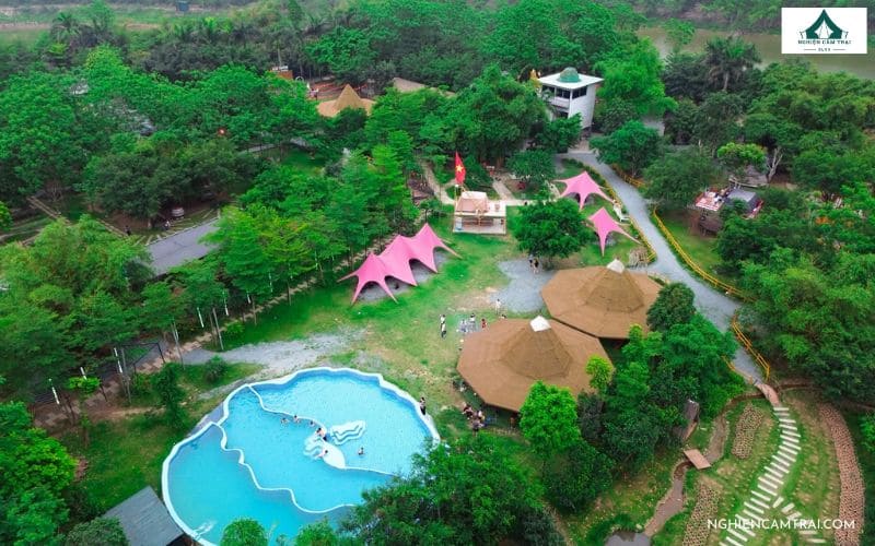 Treefarm Coffee & Glamping - Tọa độ glamping Hà Nội lý tưởng