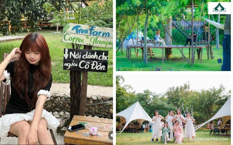Check-in sống ảo với view đẹp