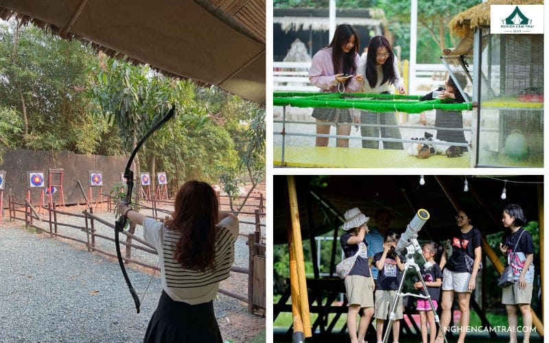Tham gia các hoạt động giải trí đa dạng