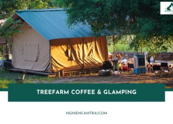 Khám phá khu cắm trại Treefarm Coffee & Glamping ở Hoài Đức