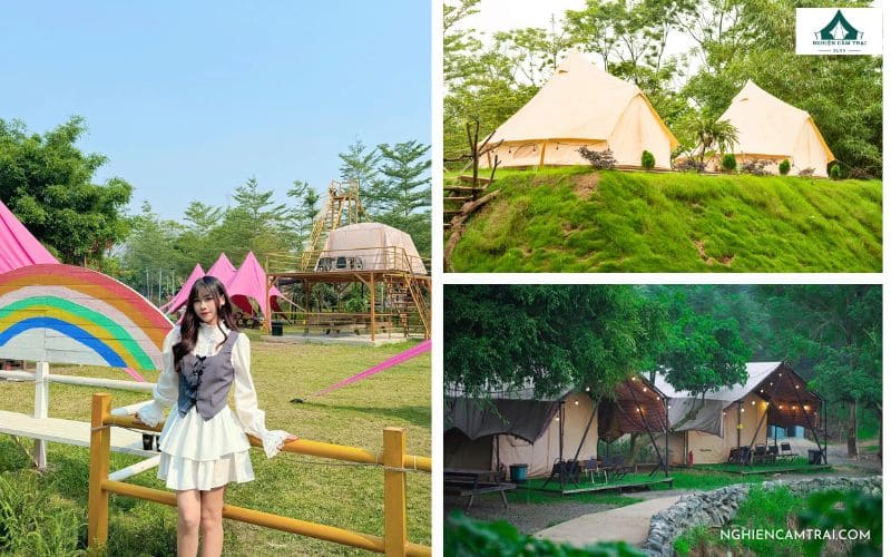 Khu cắm trại glamping TreeFarm tiện nghi, sang chảnh