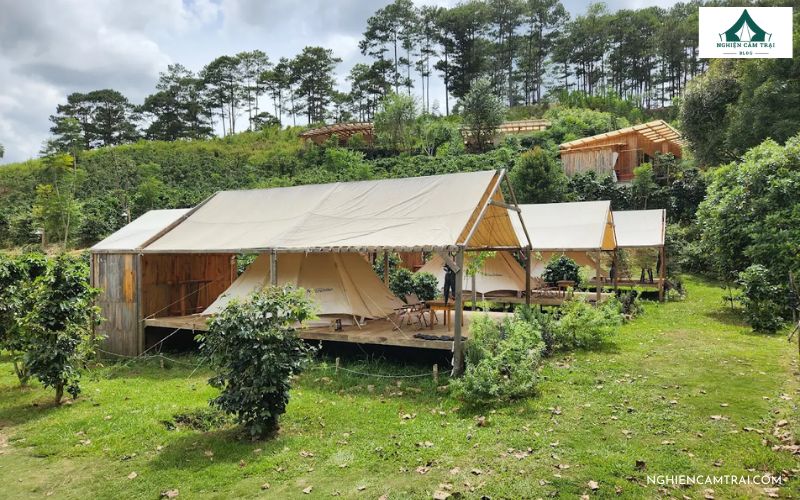 Giới thiệu đôi nét về Twin Beans Farm Đà Lạt