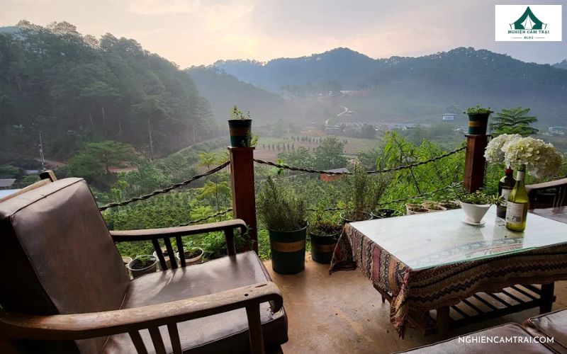 Khu cà phê và thư viện đọc sách tại Twin Beans Farm