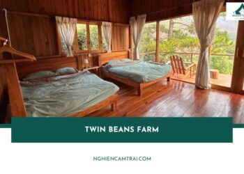 Review Twin Beans Farm – Glamping giữa đồi cà phê Đà Lạt 18 Review Twin Beans Farm – Glamping giữa đồi cà phê Đà Lạt