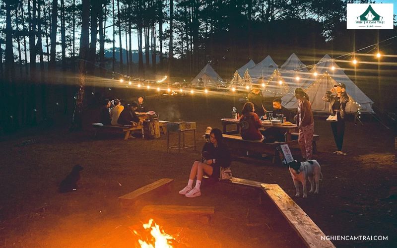 BBQ và lửa trại buổi tối  tại Twin Beans Farm 