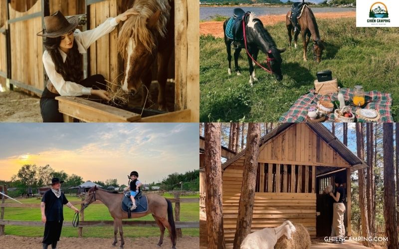 Review Vietgangz Glamping Club Lamdong cực chill giữa rừng thông 10 Trải nghiệm các hoạt động giải trí thú vị tại Vietgangz Glamping Lâm Đồng