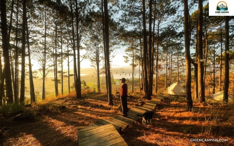 Review Vietgangz Glamping Club Lamdong cực chill giữa rừng thông 12 Kinh nghiệm cần biết khi nghỉ dưỡng tại Vietgangz Lamdong
