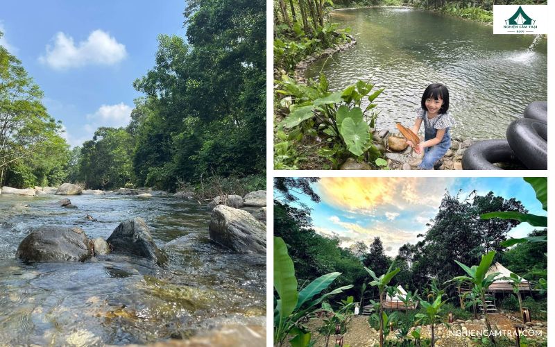 Trải nghiệm Voi Valley: Không gian xanh, view núi cực chill 7 Tận hưởng vẻ đẹp hoang sơ, nghệ thuật tại Voi Valley