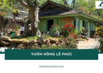 Review Vườn hồng Lê Phúc – Khu cắm trại giữa đồi hồng cổ thụ 17 Review Vườn hồng Lê Phúc – Khu cắm trại giữa đồi hồng cổ thụ