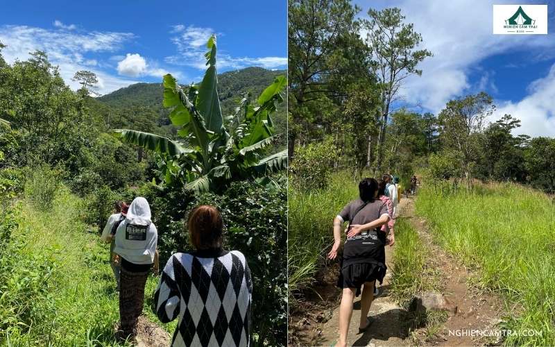 Trải nghiệm vận động với trekking lên bãi đá, thác