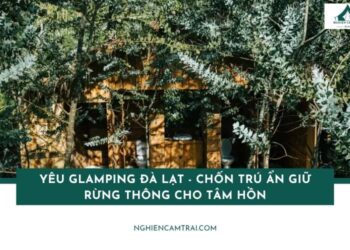 Đánh giá Cloud9 Glamping - Khi thành phố chìm dưới chân mây