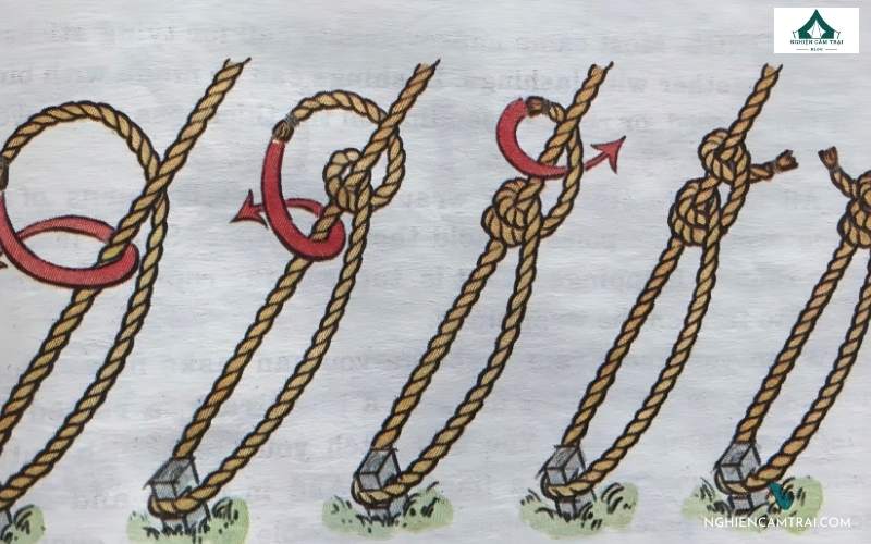 Kết quả của nút bồ câu dùng để cố định hành lý, dựng lều