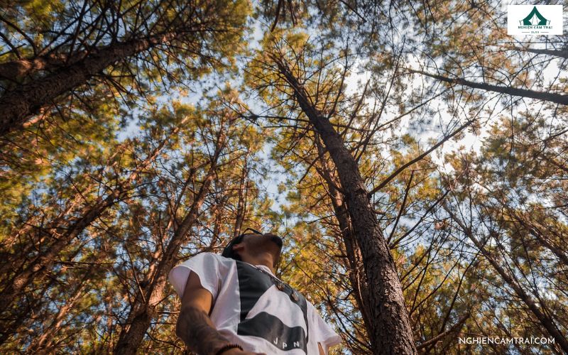 Cách xác định phương hướng khi không có la bàn