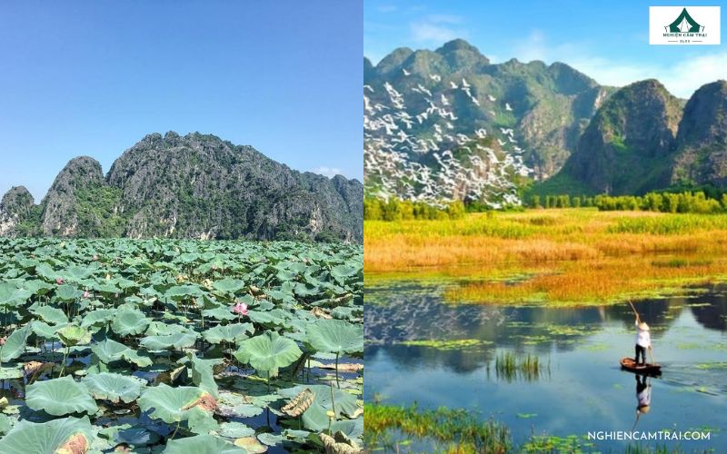 Cắm trại Đầm Vân Long