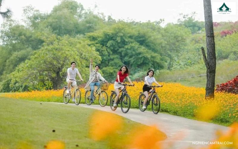 Cắm Trại Sân Golf Tràng An