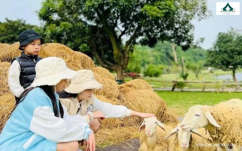 Cắm Trại Sân Golf Tràng An