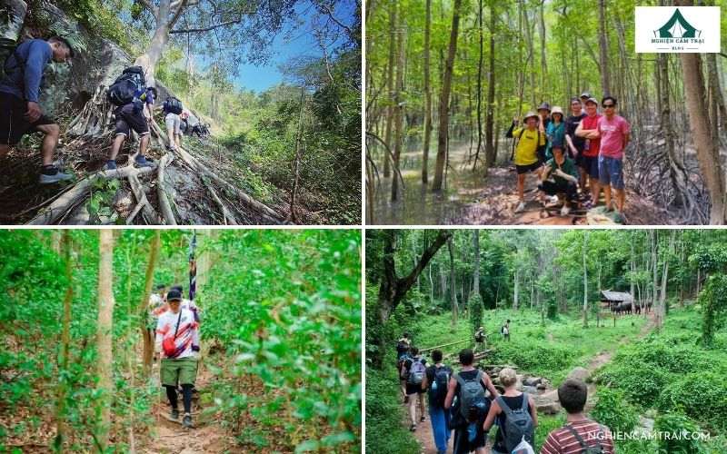 Go trekking là gì? Địa điểm và kinh nghiệm trekking an toàn 13 Các địa điểm trekking ở miền Nam và khu vực gần TP.HCM