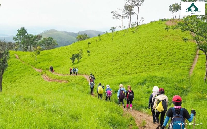 Điểm giống nhau của Trekking và Hiking là gì?